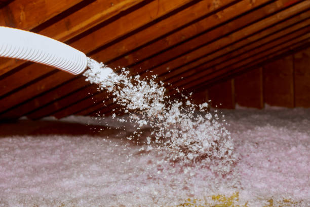 Best Residential Insulation in Saltville, VA